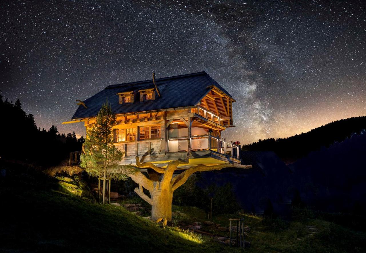 Wellnesshotel Tanne Байрсброн Экстерьер фото